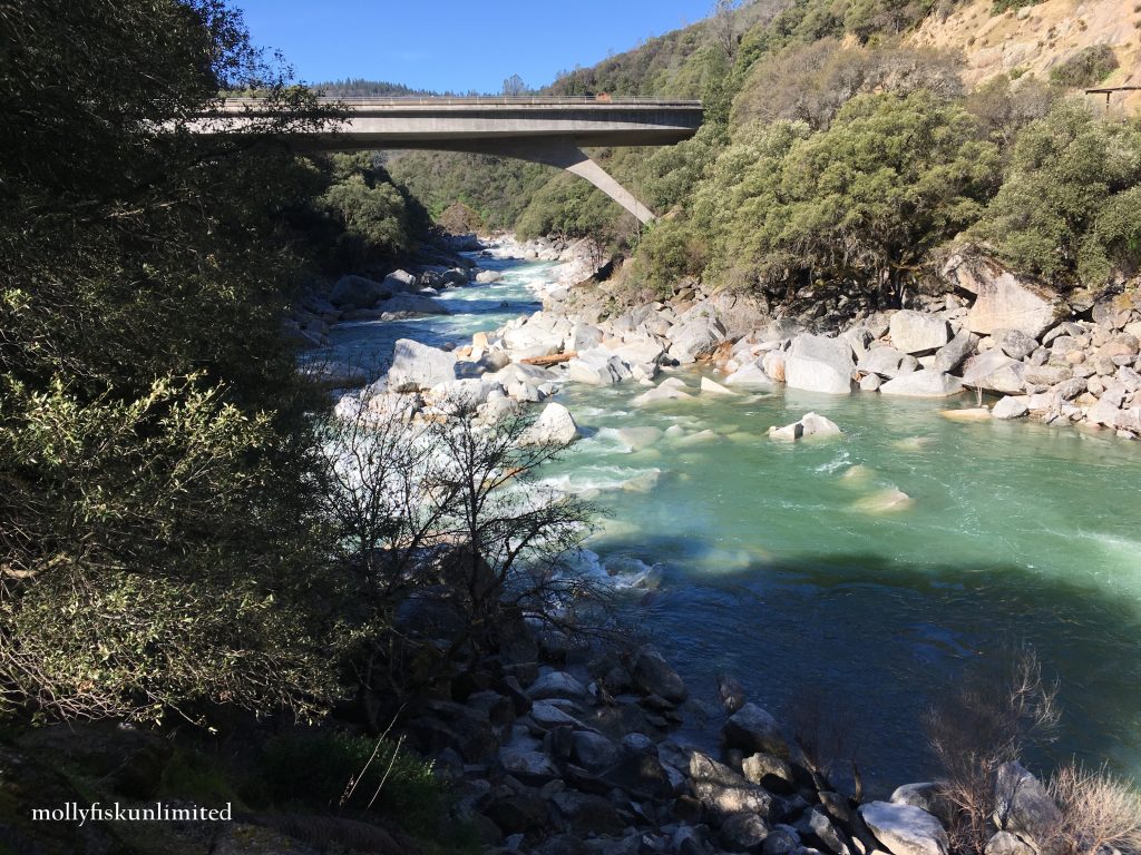 yuba river