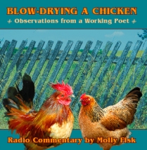Chicken CD cover